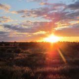 Sonnenuntergang im Outback.
