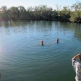 Die heissen Quellen der "Dalhousie Springs" im Witjira National Park. Es war einfach herrlich darin zu baden.

