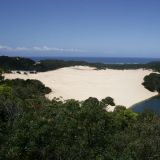 Lake Wabby auf Fraser Island. Von den Dünen kann man direkt ins Wasser "trolen". 
