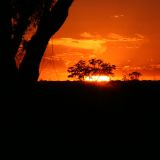 Sonnenuntergang über dem Outback, es scheint als ob der Himmel brennen würde, so intensiv sind die Farben. 
