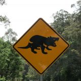 In Tasmanien sieht man andere Vorsichtsschilder als auf der Hauptsinsel. Kein Wunder, denn "Tasmanische Teufel" gibt es nur hier.

