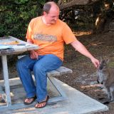 Dieses kleine Känguruh hat Roger so mitleidig angeschaut und sooolange gebettelt, bis er irgendwann doch weich wurde und ihm ein Rüebli gab. Dafür liess es sich dann noch artig streicheln. 
