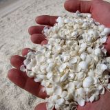 Der "Shell Beach" besteht, wie der Name schon sagt, aus Millionen von kleinen Müschelchen. 
