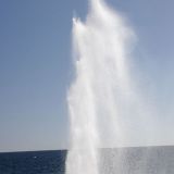 20m hohe Wasserfontänen schiessen bei den "Blowholes" in die Luft. 

