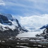 Im Hintergrund befindet sich der berühmte Athabasca Gletscher. Na ja, für Schweizer ist das jetzt nicht gerade unbedingt so spektakulär. 
